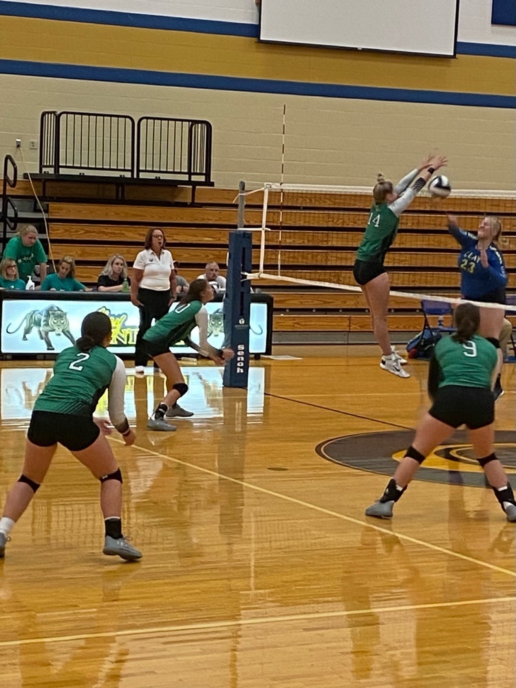 hhs vb