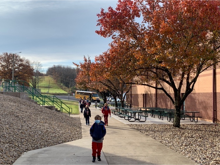 fall